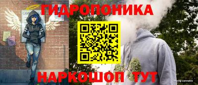 шишки Изобильный