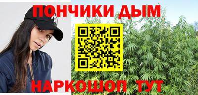 шишки Изобильный