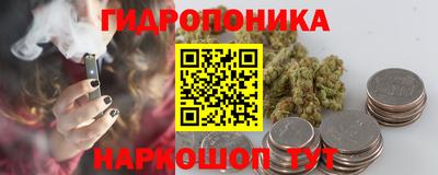 шишки Изобильный