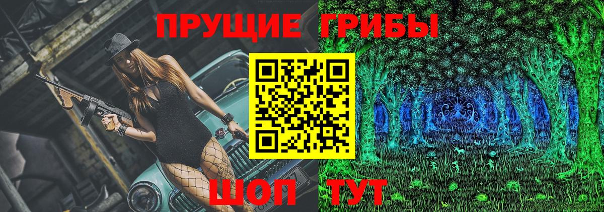 Майкоп  Псилоцибиновые грибы Psilocybe  Вход с VPN 