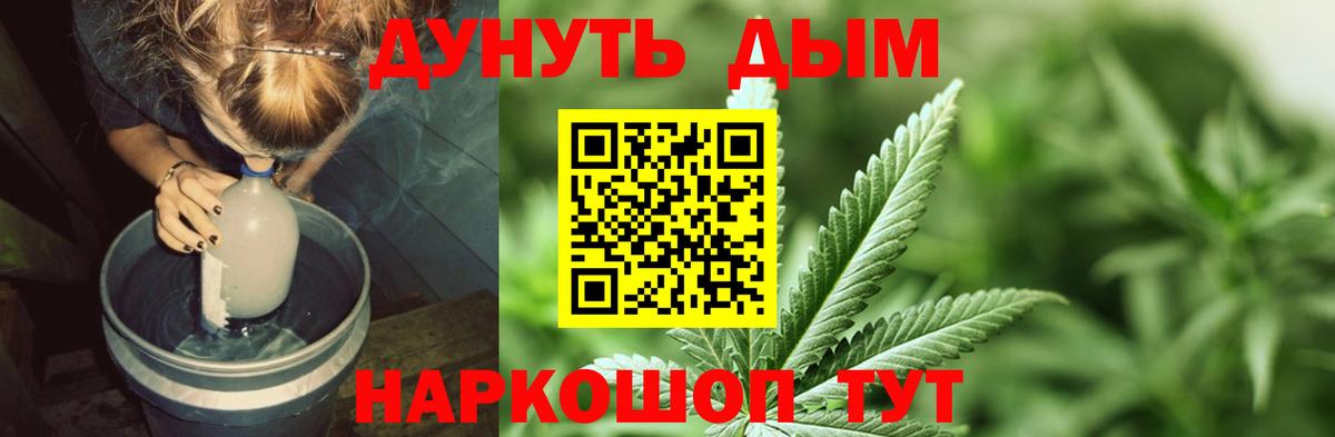 Конопля сатива Майкоп